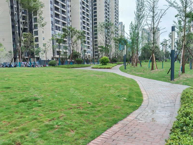 郴州铂悦府小区信息图片4