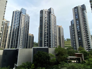 深圳栖棠映山小区信息图片