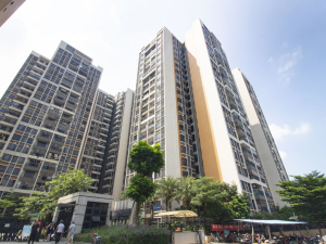 佛山莲安路小区信息图片