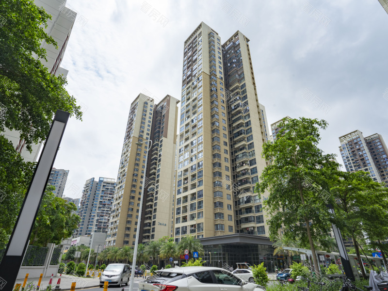 深圳华强城市花园三期小区信息图片4