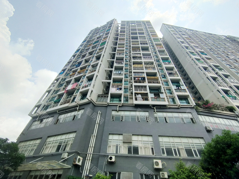 深圳金色年华家园小区信息图片4