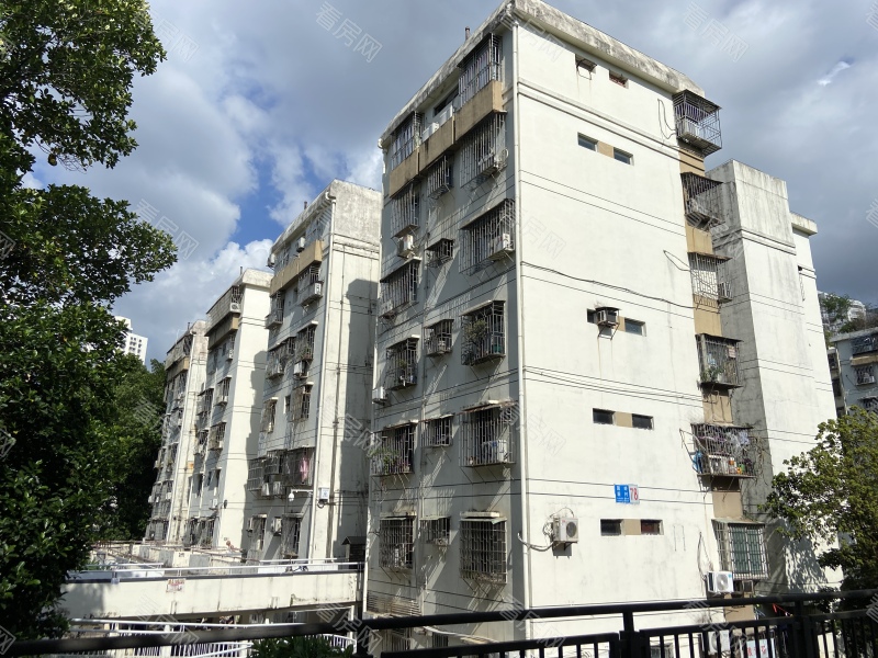 深圳园岭新村小区信息图片6
