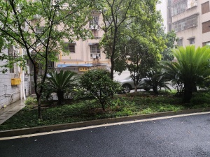 郴州邮政五岭住宅小区小区信息图片
