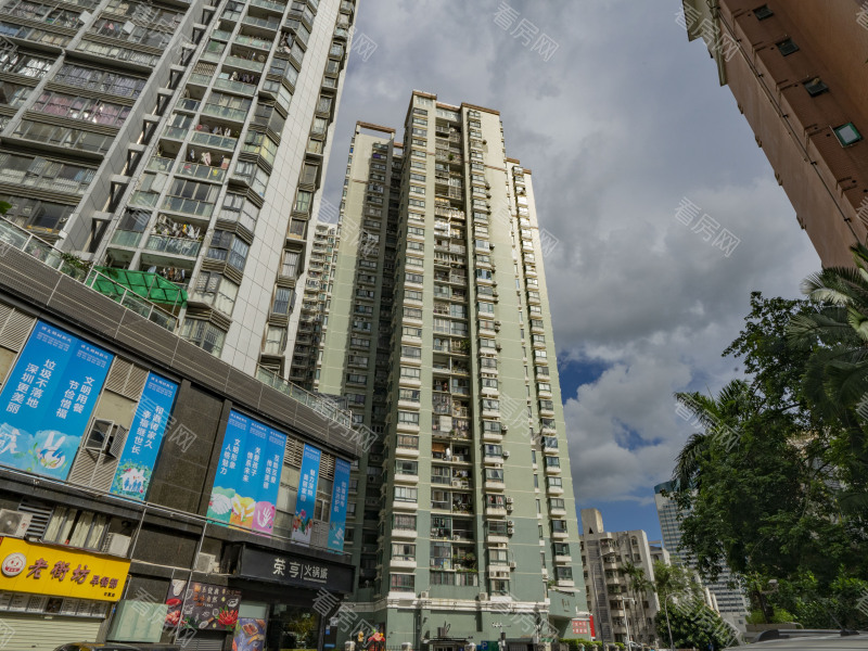 深圳雅云轩小区信息图片1
