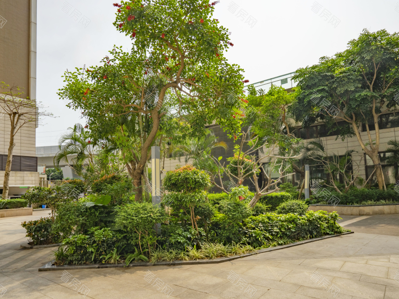 珠海马赛公馆小区信息图片5