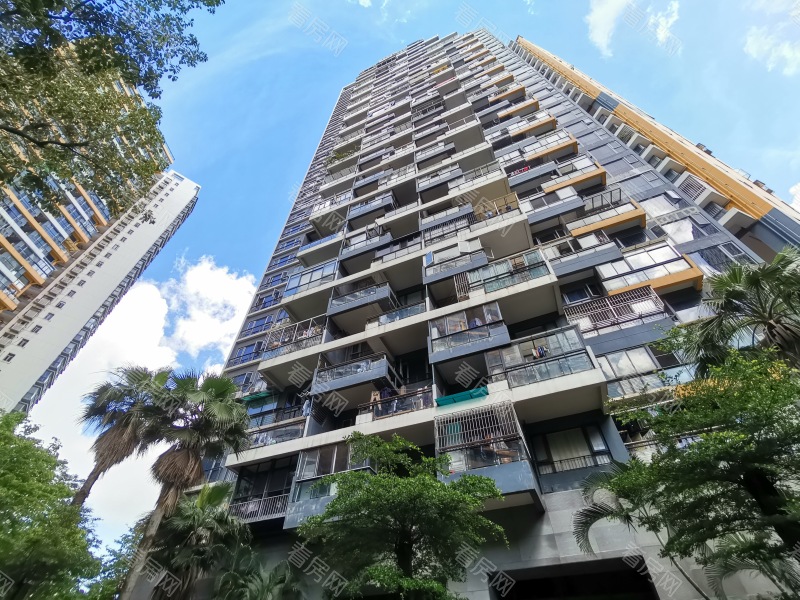 深圳星海名城五期小区信息图片3