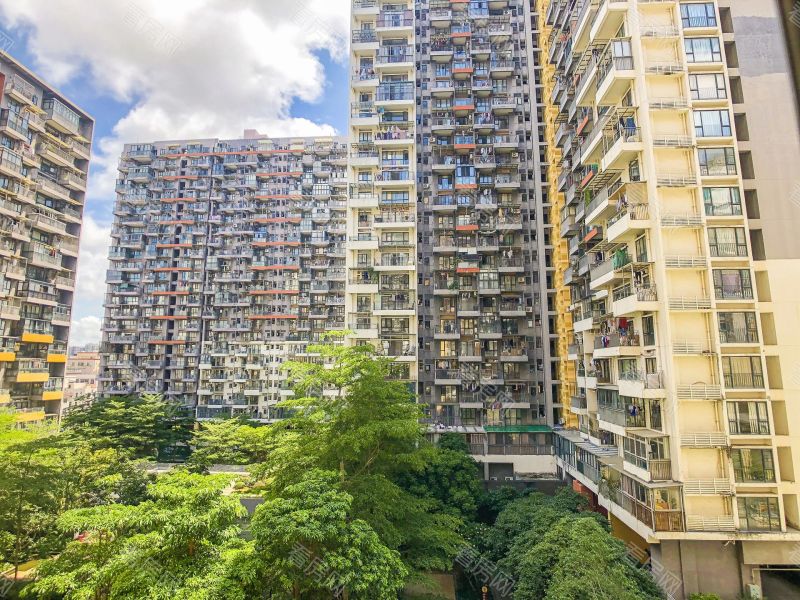 深圳花乡家园小区信息图片4