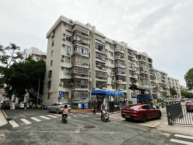 深圳福华新村小区信息图片11