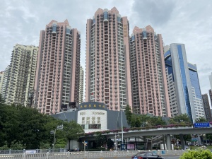 深圳洪湖花园小区信息图片