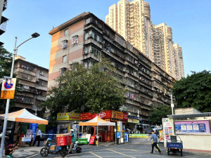 深圳凤凰路56号大院小区信息图片