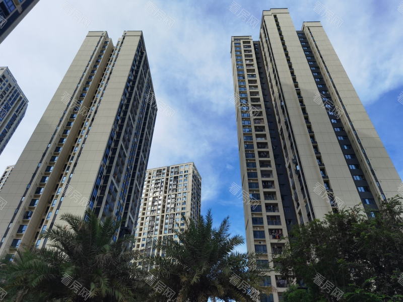深圳金地龙城中央小区信息图片11