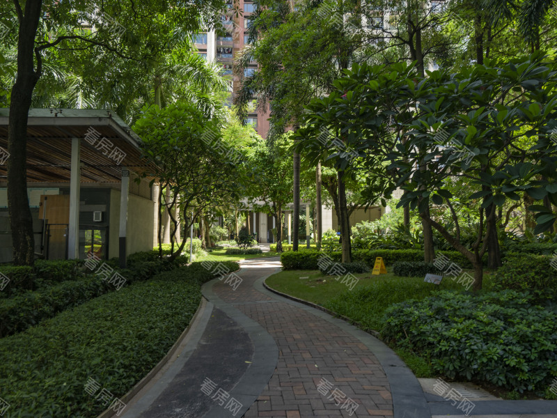 深圳金域东郡小区信息图片11