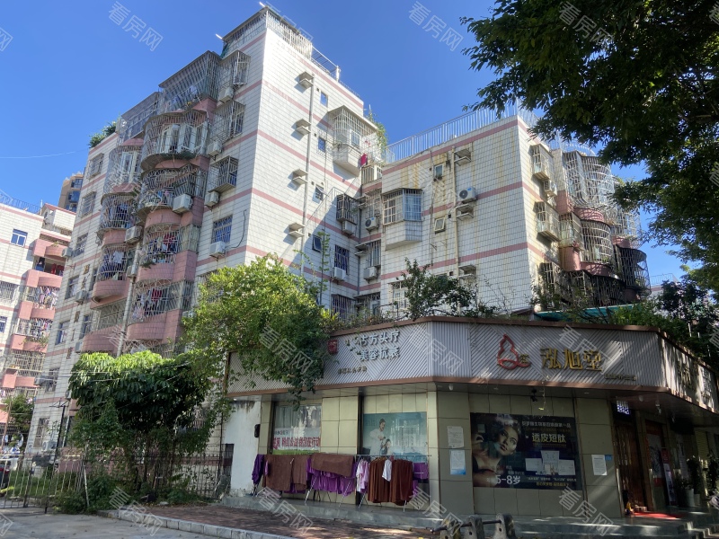 深圳立新湖花园小区信息图片4