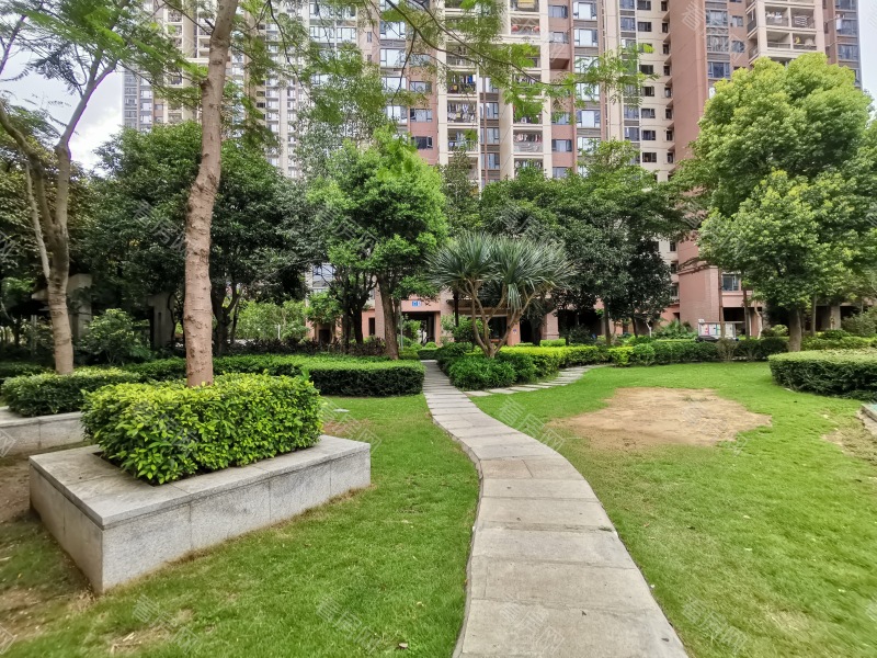 深圳东城国际小区信息图片7