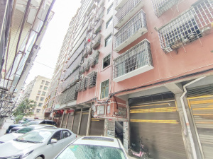衡阳耒阳市金星佳园小区信息图片