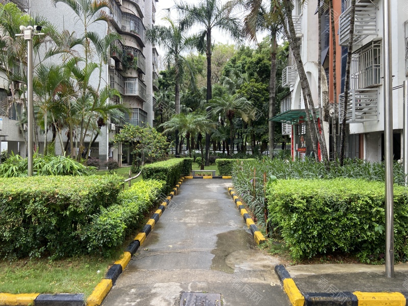 深圳皇洲花园小区信息图片5