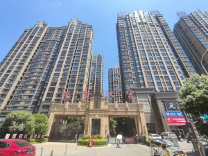 益阳铂金汉宫小区信息图片