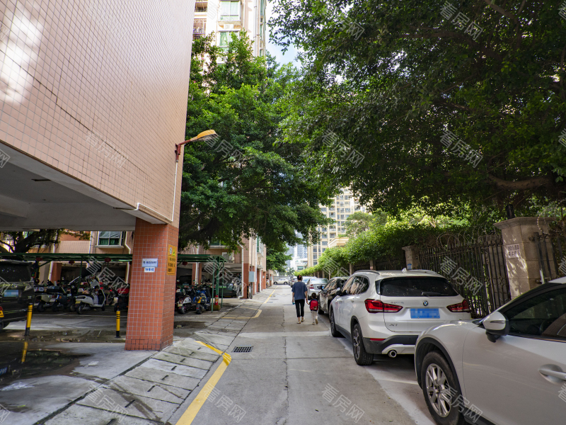 深圳海滨新村小区信息图片7