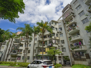 深圳荔枝苑小区信息图片