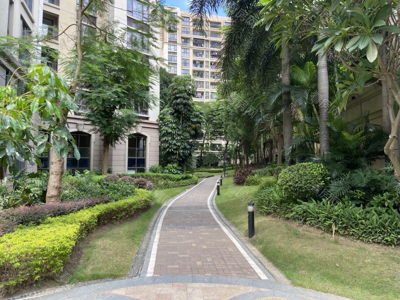 深圳万科金色领域一期小区信息图片44