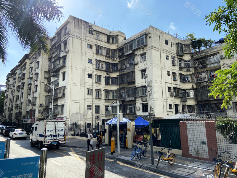 深圳园岭新村小区信息图片2