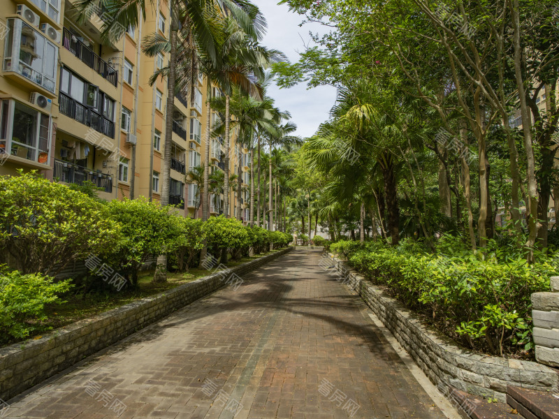 深圳亚迪村小区信息图片8