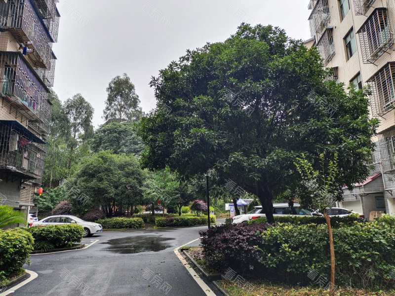 郴州128队骆仙小区小区信息图片2