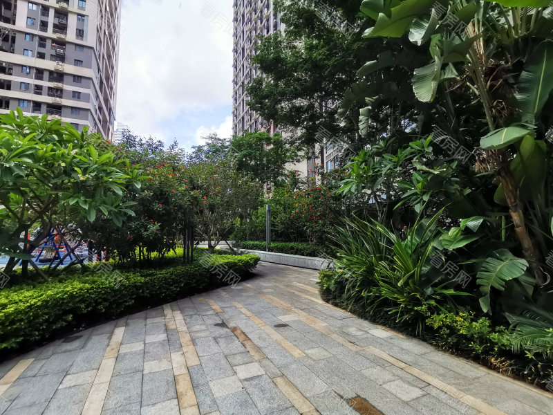 深圳大冲新城花园C区小区信息图片10