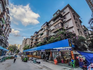 广州省粮宿舍小区信息图片