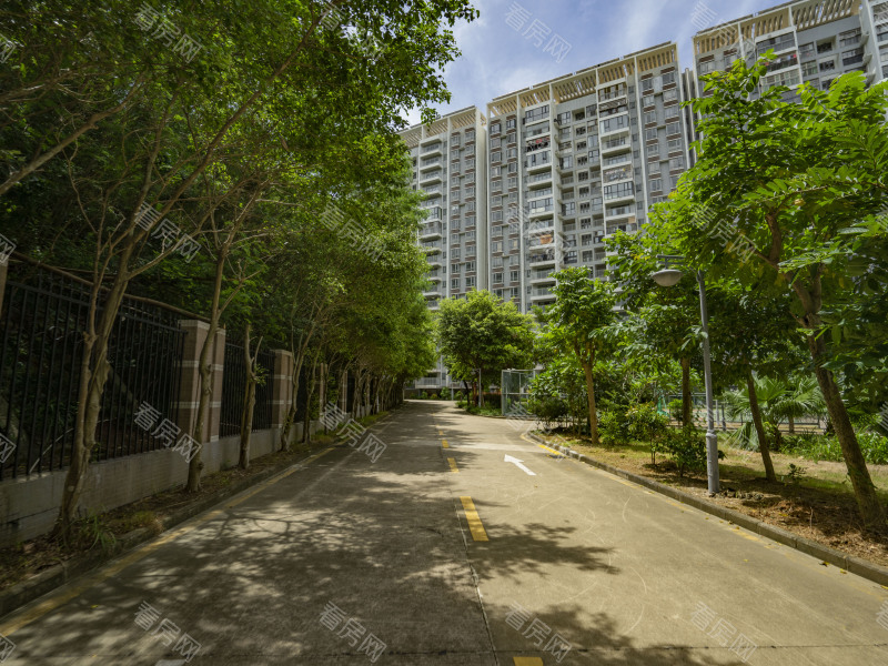 深圳坝光新村一区小区信息图片6