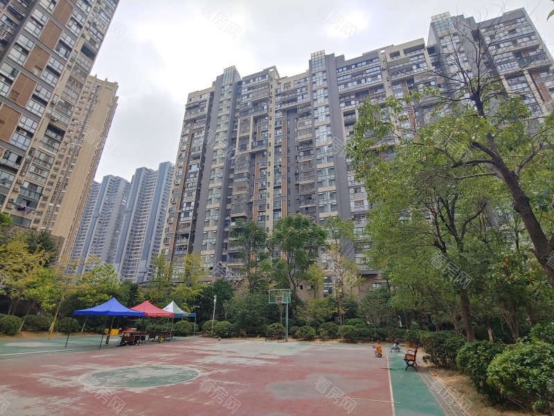 赣州中央城一期(章贡区)小区信息图片8