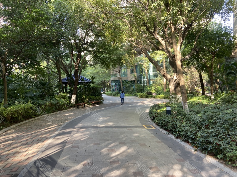 深圳城市山林一期小区信息图片7