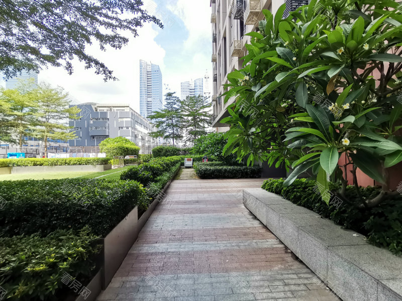 深圳大冲新城花园C区小区信息图片8