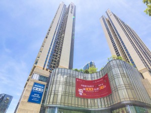 宝安前海奢阔大宅_商业配套_图片1