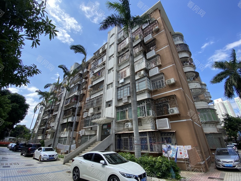 深圳文锦渡海关三院生活区小区信息图片7