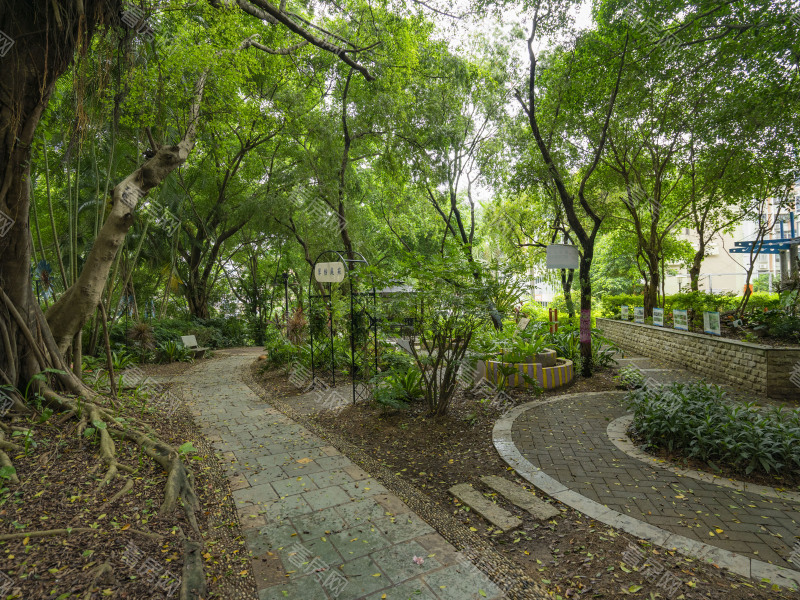 深圳梧桐山新居二期小区信息图片8