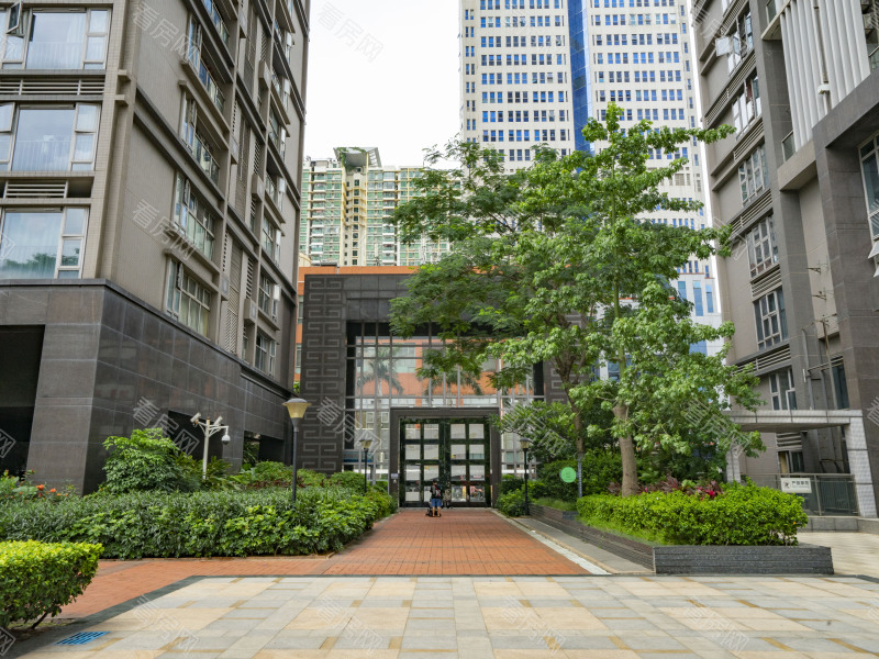 福田区  深港1号21栋25B6法拍房图片14