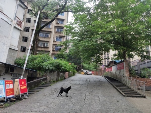 郴州湘南学院苏仙校区住宅小区小区信息图片