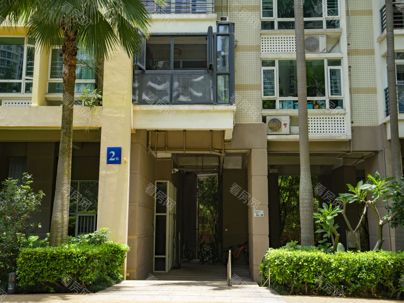 深圳阳光带海滨城一期小区信息图片5