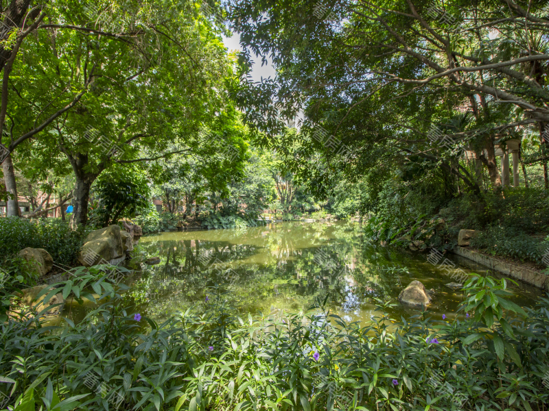 佛山帝景豪庭东区小区信息图片5