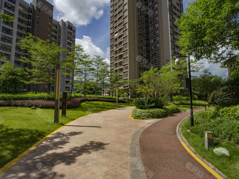 深圳保利香槟苑小区信息图片7