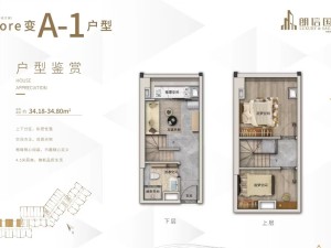 广州朗信国际新房楼盘户型图