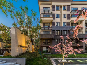 南京西华龙樾新房楼盘实景图3