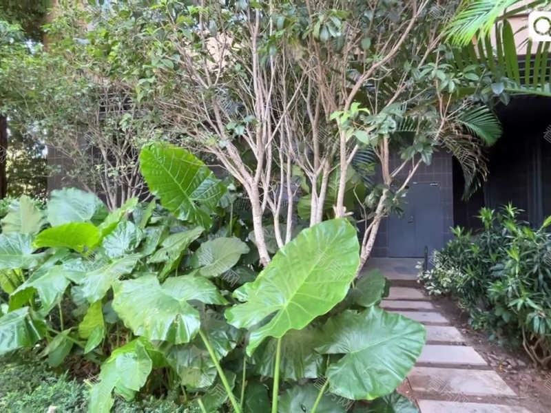 深圳宏发QCC前城小区信息图片13