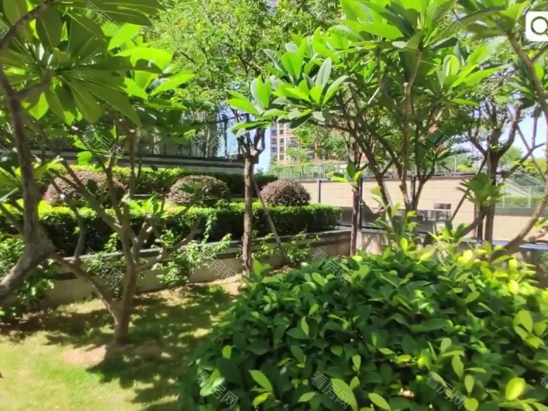 深圳中粮凤凰里小区信息图片22