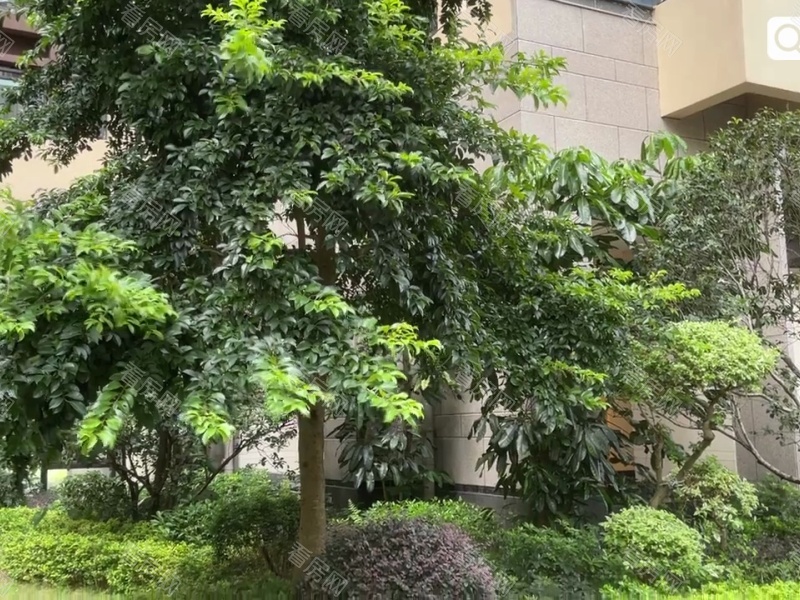 深圳信义嘉御山五六期小区信息图片28