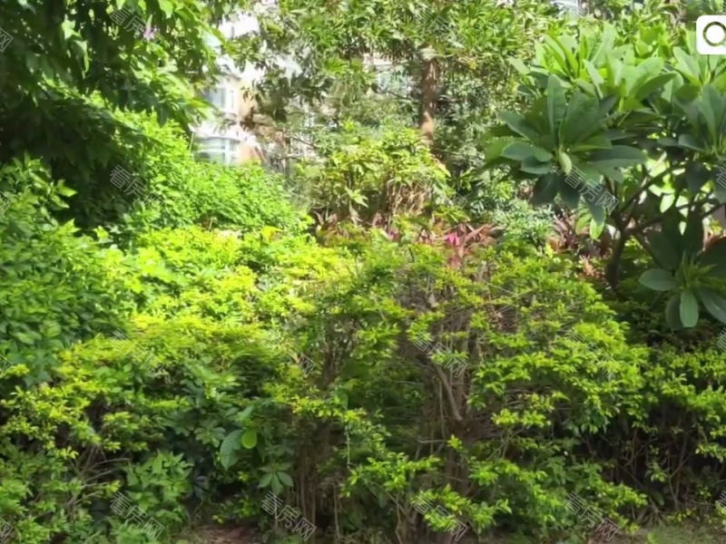 深圳金石雅苑小区信息图片13