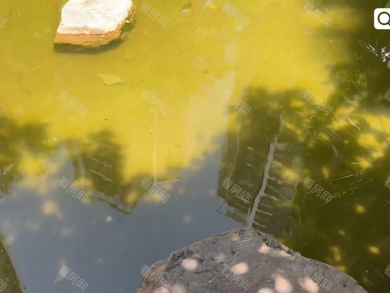 深圳中熙香缤山小区信息图片26