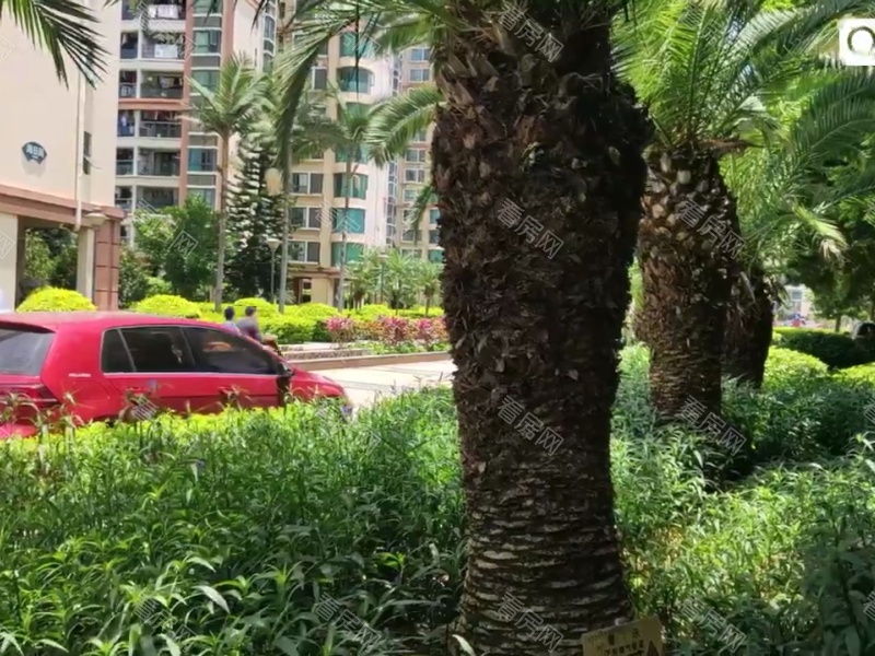 深圳金域豪庭三期小区信息图片19