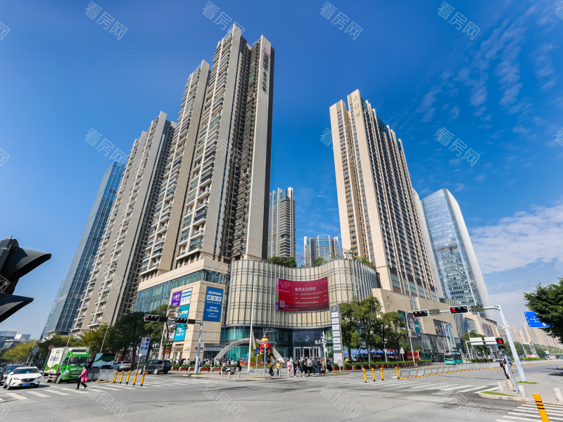 宝安前海奢阔大宅_顶部图片_图片2